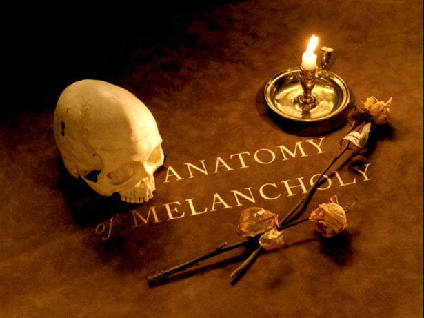 An Anatomy of Melancholy, Jo Ann Kaplan