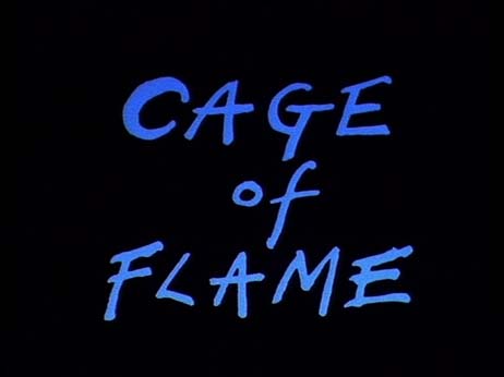 Cage of Flame, Kayla Parker