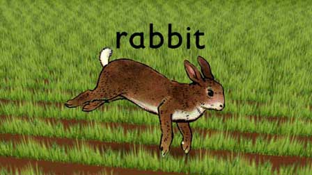 Rabbit, Run Wrake