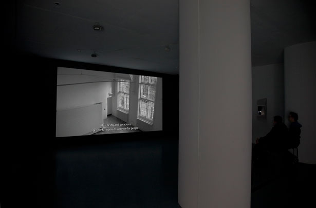 Travelogue, Jani Ruscica, installed at Temple Bar Gallery, September 2010, image courtesy of the Temple Bar Gallery