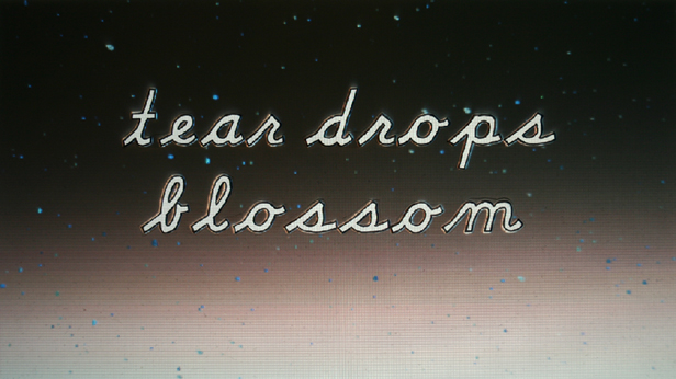 Tear Drops Blossom, Michael Aubtin Madadi
