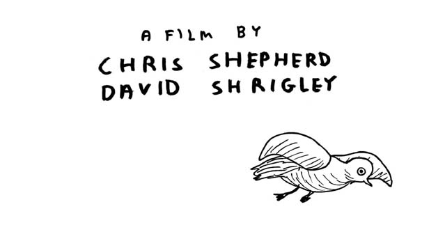 Who I Am and What I Want, David Shrigley & Chris Shepherd